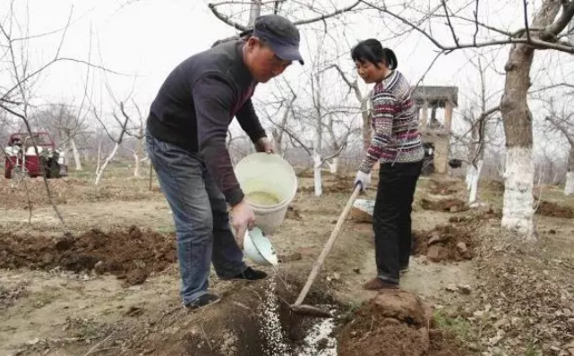 QQ截图20200306160346.png