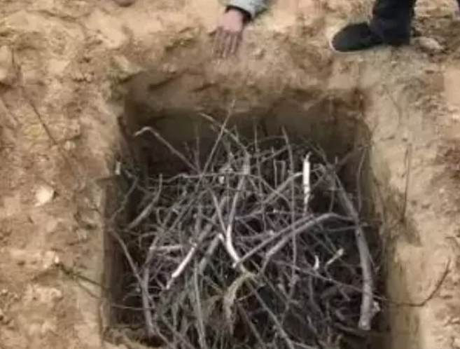 QQ截图20200306160917.png
