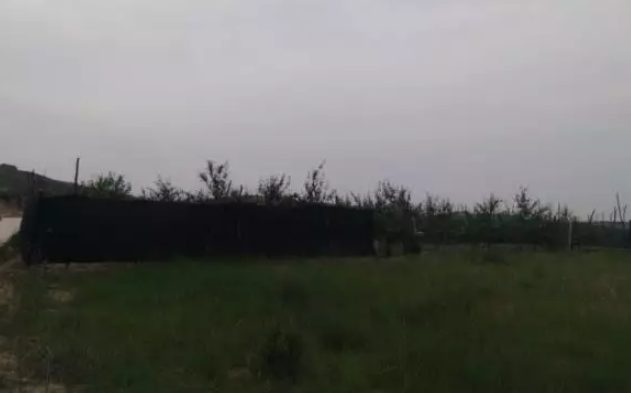 QQ截图20200306160926.png