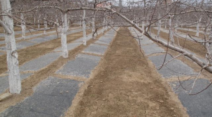 QQ截图20200310161416.png
