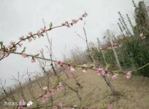 QQ截图20200312154354.png