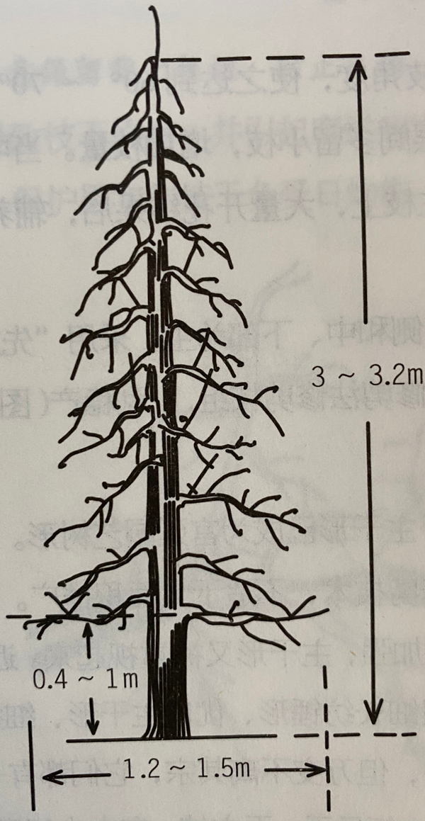 果业通网-果园管理好帮手