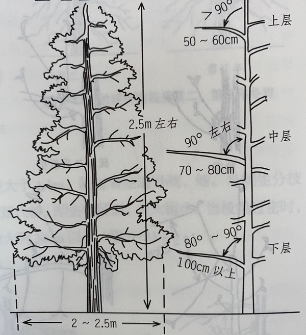 微信图片_20200325151541.jpg