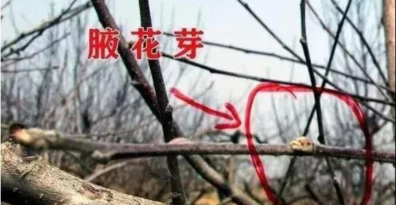 微信图片_20200406164212.jpg