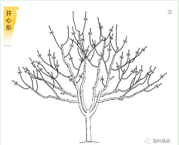 微信图片_20200410153342.png