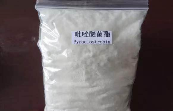 微信图片_20200419161914.jpg