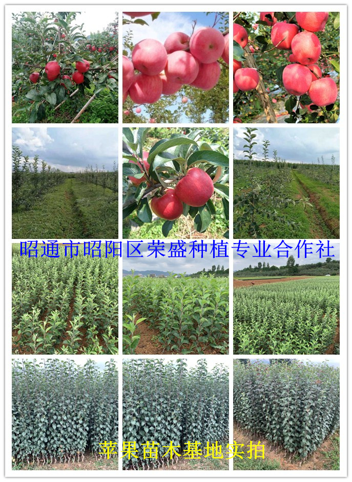 initpintu_副本12.jpg