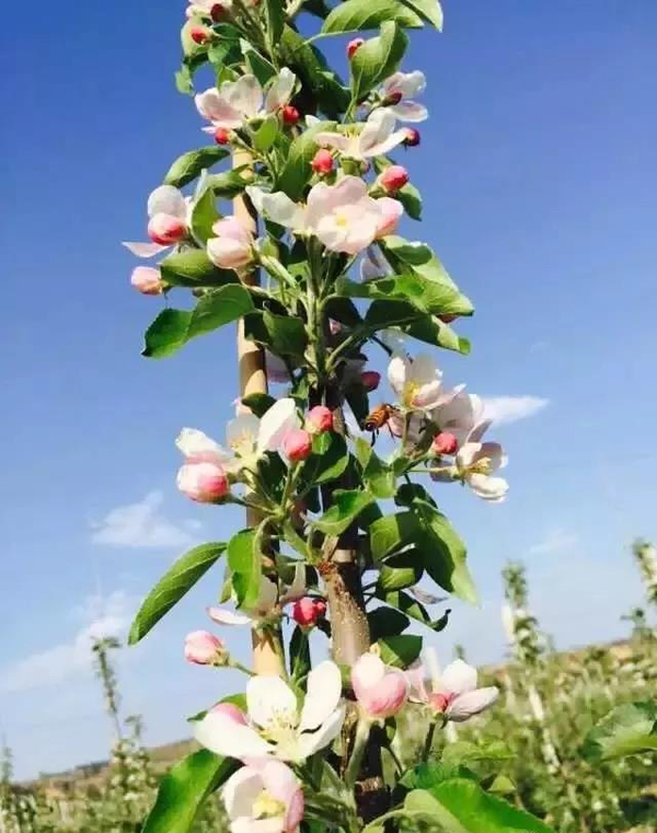 微信图片_20200428154534.jpg