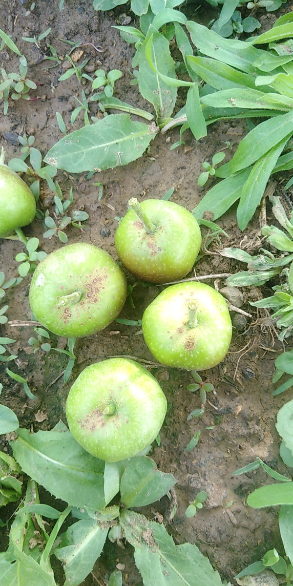 mmexport1591175919765.jpg