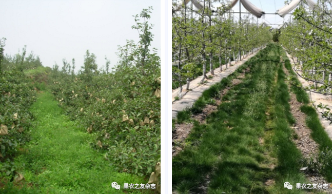 微信图片_20200620104716.png
