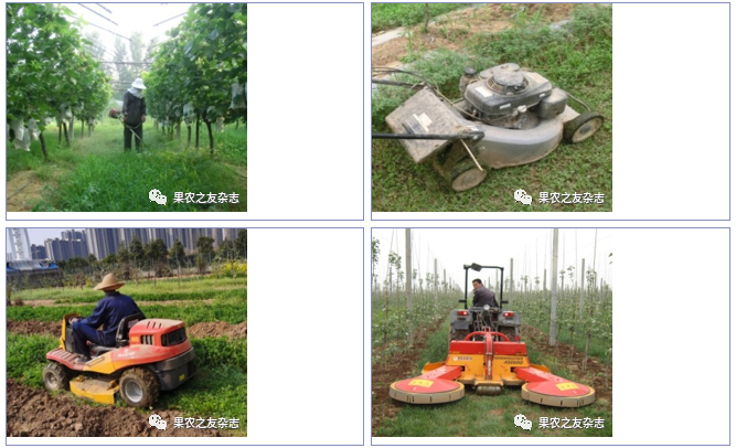 微信图片_20200620104629.png