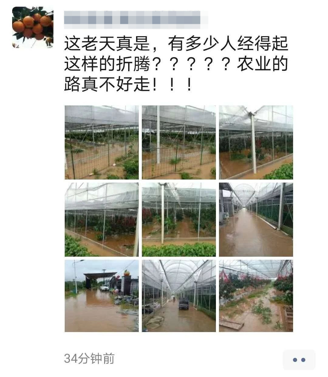 微信图片_20200702160153.png