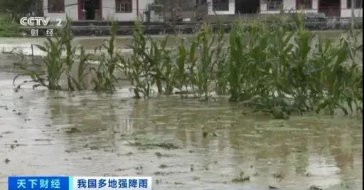 微信图片_20200702160205.jpg
