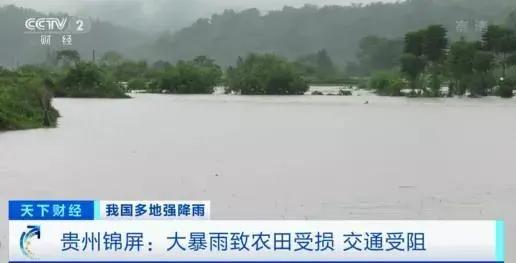 微信图片_20200702160216.jpg