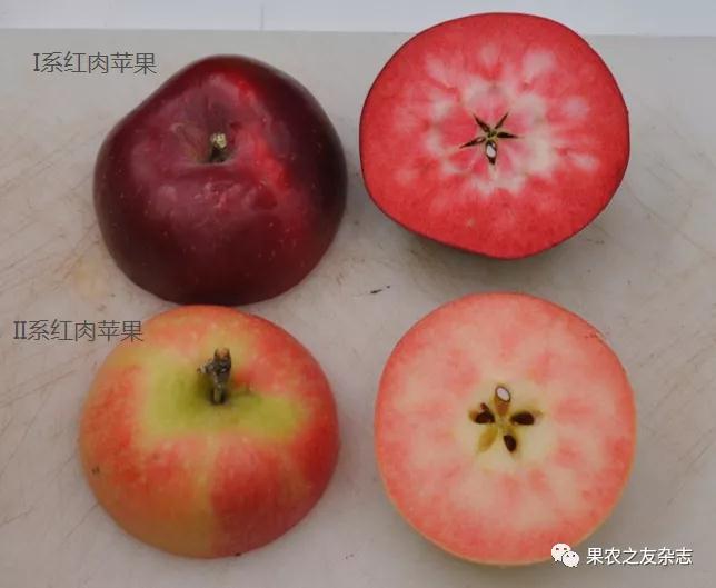 微信图片_20200703101612.jpg