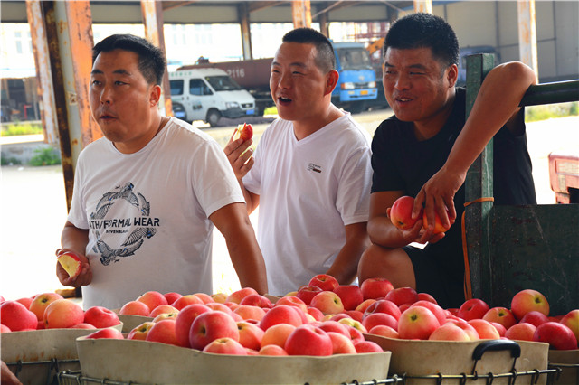 DSC_7642.jpg