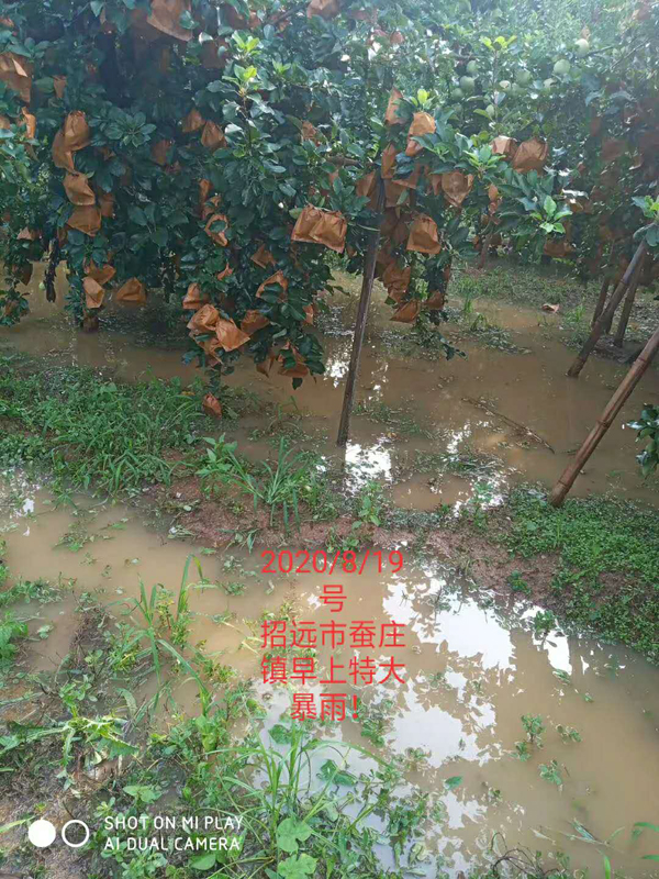 微信图片_20200824171021.jpg