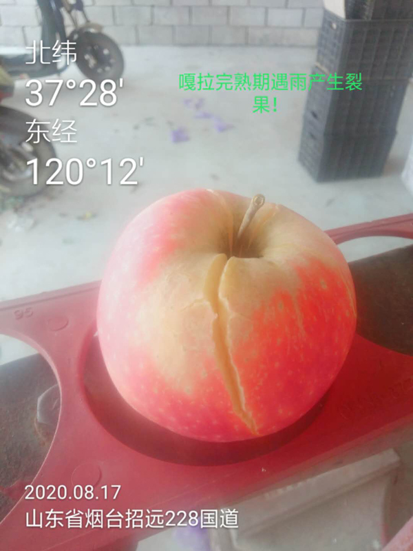 微信图片_20200824171027.jpg