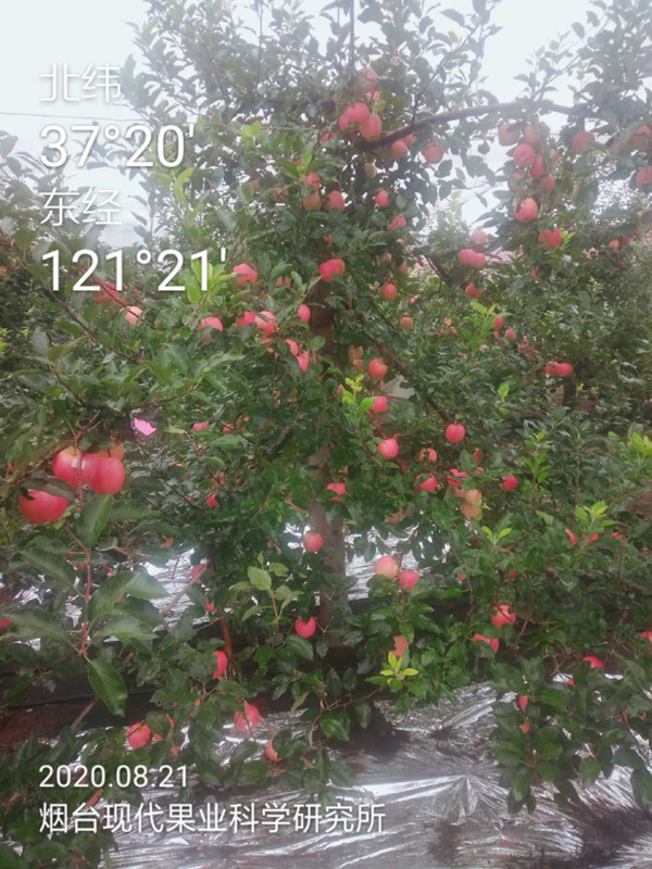 微信图片_20200824171046.jpg