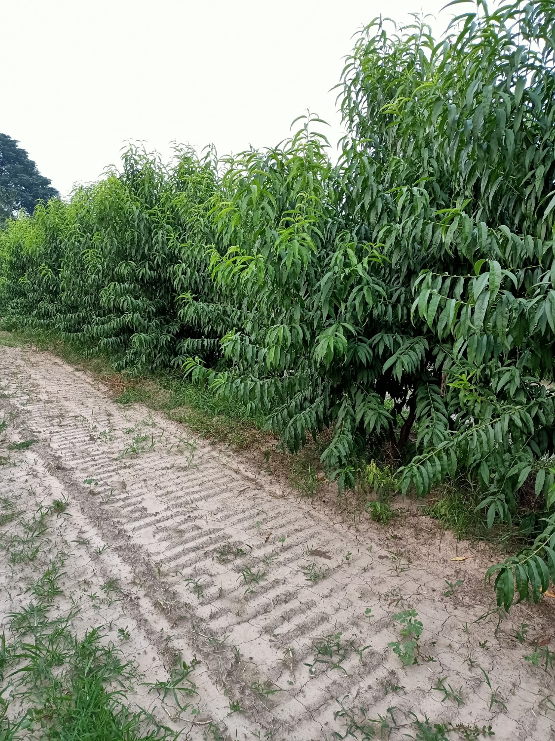 IMG20200828184539.jpg