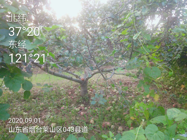 微信图片_20200914164054.jpg