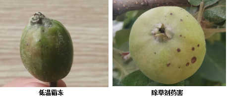 微信图片_20200918163243.png