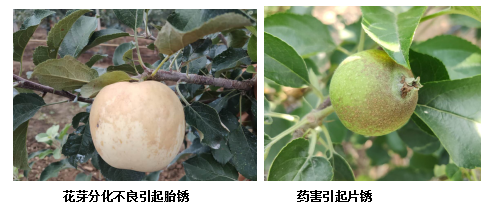 微信图片_20200922164604.png