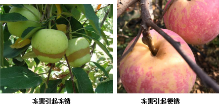 微信图片_20200922164613.png