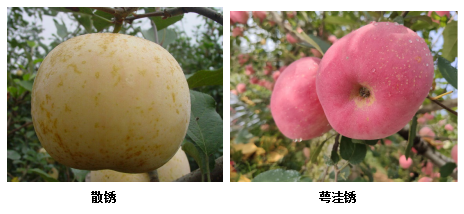 微信图片_20200922164609.png