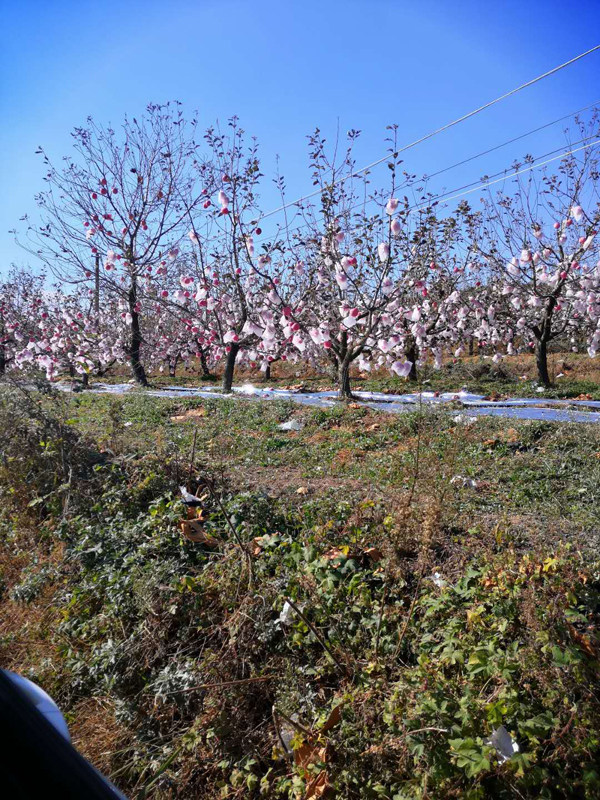 微信图片_20201019131435.jpg