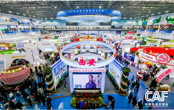 微信图片_20201020161450.png