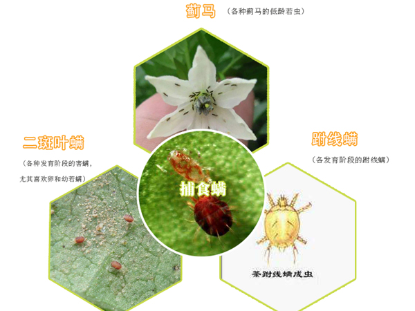11.16网站2.jpg