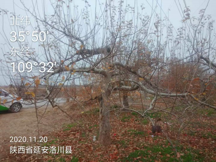 图片2.png