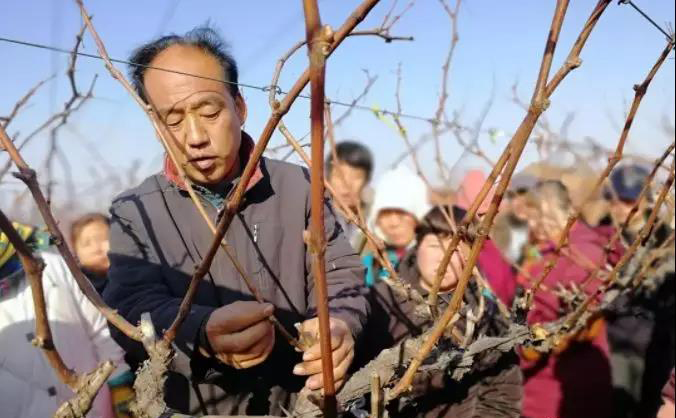 微信图片_20201216155400.jpg