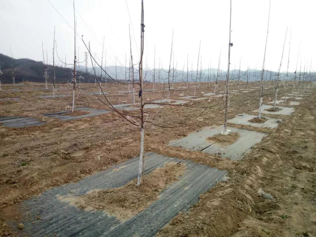 微信图片_20201218143720.jpg