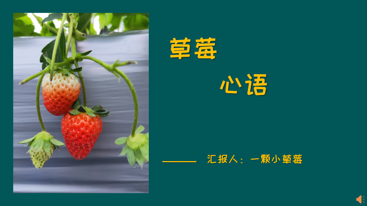 朱超毅草莓案例_01.png