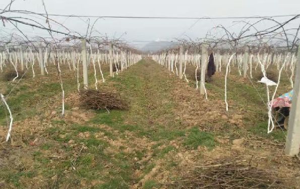 微信图片_20201229141301.jpg