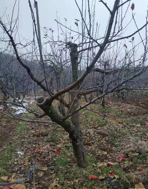 微信图片_20200102150928.jpg