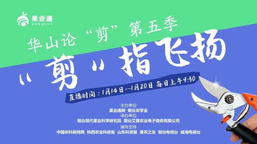 论剪直播图.jpg