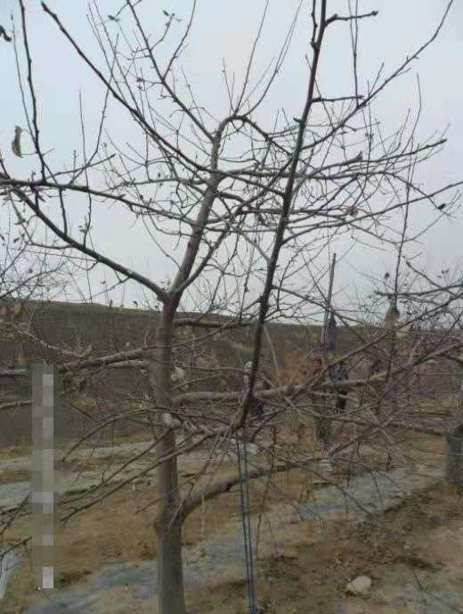 微信图片_20210128140424.png