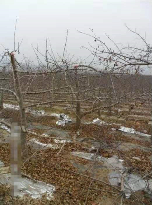 微信图片_20210128140852.png