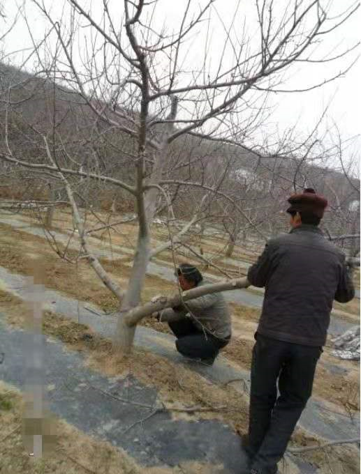 微信图片_20210128141012.png