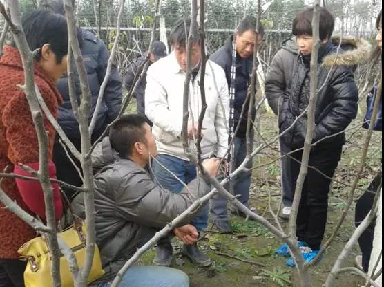微信图片_20210202142819.jpg