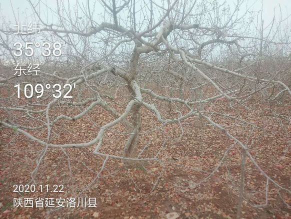 微信图片_20210222151657.png