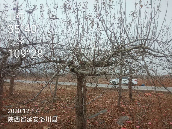 微信图片_20210222151700.png