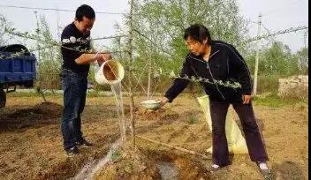 微信图片_20210309153152.jpg