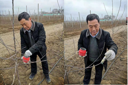 微信图片_20210315161019.png