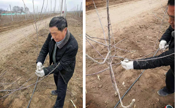 微信图片_20210315161023.png