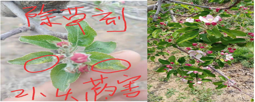 微信图片_20210422144557.png