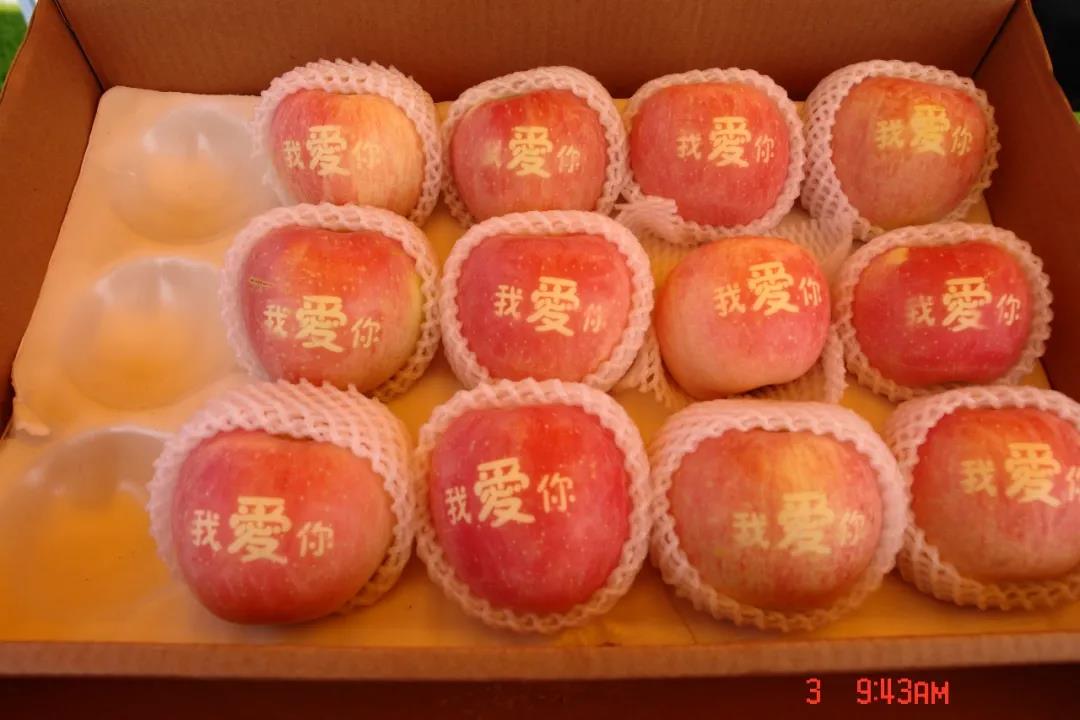 微信图片_20210518160029.jpg